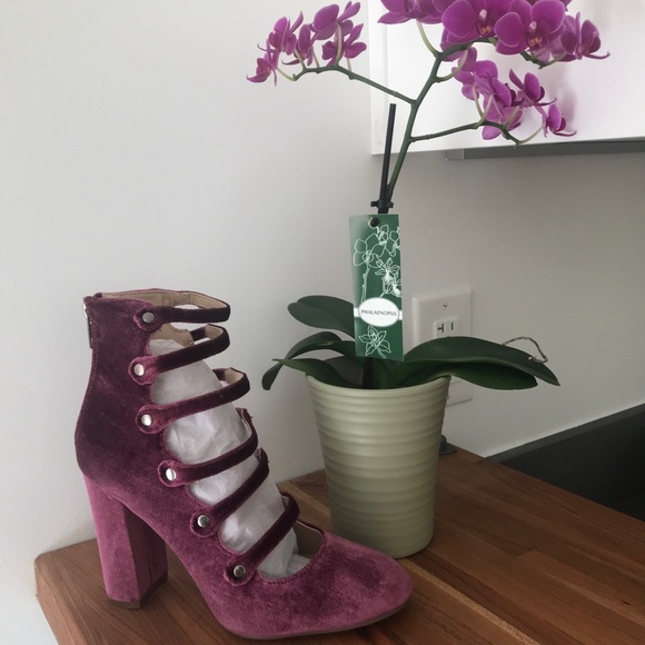 Pink Mauve Pumps - Picture 2 of 6